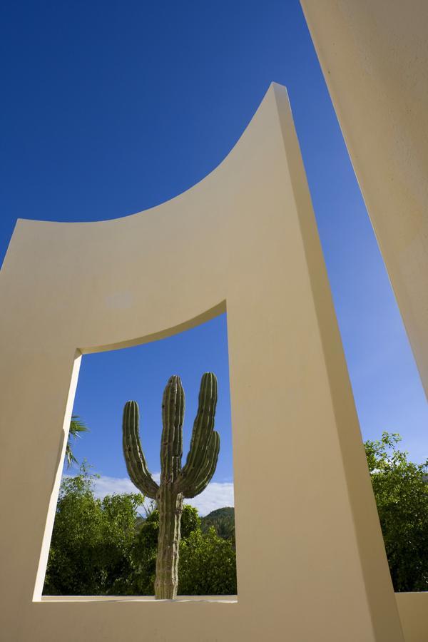 The Towers At Pueblo Bonito Pacifica (Adults Only) Hotel Cabo San Lucas Buitenkant foto